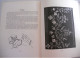 Delcampe - FLOWER EMBROIDERY By E.Kay Kohler 1960 London Vista Books / Borduren Borduurwerk Bloemen Bloemwerk - Hobby Creativi