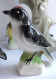 Delcampe - Figurines Oiseaux En Faience Clooection Thé Tenderflake - Beeldjes