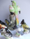 Delcampe - Figurines Oiseaux En Faience Clooection Thé Tenderflake - Figuren