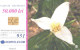 Romania:Used Phonecard, Romtelecom, 50000 Lei, Flowers, 2001 - Blumen