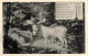 ANIMAUX - Âne - Esel Barometer -  Carte Postale Ancienne - Anes