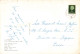 Transports - Bateau - SS Ryndam - Holland-America Line - Grand Format 21,5/15 Cm -   Carte Postale Ancienne - Paquebots