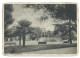 Italy Postcard  San Severo  Giardini Pubblici Unused - San Severo