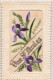 FANTAISIES  - Brodée - Saint Nicolas - Colorisé - Carte Postale Ancienne - Embroidered