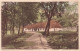 DANEMARK - Viborg - Gamle Brohus - Colorisé -  Carte Postale Ancienne - Denmark