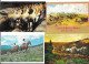 Lot Vrac N° 170 De 200 Cartes De Chevaux (CPM Et CPSM) Photos, Illustrations, Attelages, Enfants... - 100 - 499 Postcards