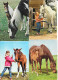 Lot Vrac N° 170 De 200 Cartes De Chevaux (CPM Et CPSM) Photos, Illustrations, Attelages, Enfants... - 100 - 499 Postcards