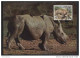 RHINOCEROS  / SWAZILAND / WWF 1987 CARTE MAXIMUM FDC (ref 2305) - Rhinoceros