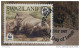 RHINOCEROS  / SWAZILAND / WWF 1987 CARTE MAXIMUM FDC (ref 2300) - Rhinoceros