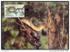 SERPENT - JAMAIQUE - WWF / 1984 CARTE MAXIMUM FDC (ref 2339) - Serpents