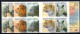 2010 Sud Africa, Fauna, Libretto Nuovo (**) - Postzegelboekjes