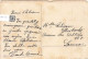 ILLUSTRATION NON SIGNE - Une Femme En Robe Bleue Avec Son Chien - Carte Postale Ancienne - Ante 1900