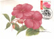 BUZIN / CARTE MAX / COB 3318 / IMPATIENS - 2001-2010