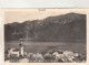 D4827) UNTERACH Am ATTERSEE - Salzkammergut - Monopol FOTO AK 7534 - Attersee-Orte