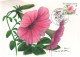 BUZIN / CARTE MAX / COB 3722 / PETUNIA HYBRIDA - 2001-2010