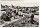 CPSM Photo Carnac 56 Morbihan Dolmen Menhir Champ Important De Menhirs Alignement De Ménec  éditeur Jansol - Dolmen & Menhirs