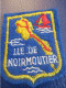 France/Ecusson Tissu D'époque/ Ile De Noirmoutier / Vendée  /Vers 1960-80                 ET472 - Escudos En Tela