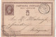 Italie Entier Postal Cachet Commercial Ciro Ronch MELDOLA 15/8/1874 Pour Bologna - Postwaardestukken