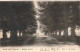 BELGIQUE - Turnhout - Groote Laan Tongreloo - Grande Avenue - Carte Postale Ancienne - Turnhout