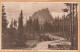 Alberta Canada Old Postcard - Other & Unclassified