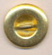 Buttons.Armenia.Armed Forces.New Coat Of Arms. 22 Mm - Boutons