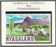 NYASALAND - Thé, Pin, Tabac, Coton, Afzelia Africana - 1953 - MNH - Rhodesië & Nyasaland (1954-1963)