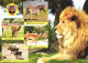 ANIMALS, LION, ZEBRA, IMPALA, KUBUS, PHACOCHOERUS AETHIOPICUS, AFRICAN RESERVE OF SIGEAN - Collections & Lots