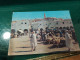 468 //  GHARDAIA / LA PLACE DU Marché - Ghardaia