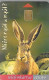 CARTE-PUCE-2000-HONGRIE-LAPIN--TBE - Rabbits