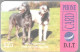 CARTE-PREPAYEE-GB-D.I.T-25£-CHIENS WOLFHOUDS IRLANDAIS-Plastic Epais-R° Glacé--TBE - Chiens