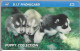 CARTE-PREPAYEE-1997-GB-D.I.T-2£-CHIOTS/PUPPY Collection-Plastic Epais-R° Glacé--TBE - Dogs