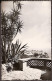 Monaco - Le Rocher Vu De La Terrasse Du Jardin Exotique - 1949 - Les Terrasses