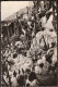 Monte-Carlo - Le Jardin Exotique - 1951 - Cactussen - Cacti  - Exotische Tuin