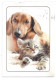 2273o: Fälschung- Fakekarte (Frankatur Aus Magazin Ausgeschnitten, Keine Marke) Motiv Wr. Tierschutzverein - Covers & Documents