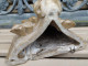 Delcampe - Ancienne Console Socle Statue Religieuse Église Style Gothique XIXéme Maison Rafft Paris - Gesso