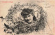 PHOTOGRAPHIE -  Frimousse Rustique - Carte Postale Ancienne - Photographie