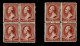 Lot # 047 1883, 2¢ Red Brown Three BLOCKS OF FOUR And 2 Singles (SE) - Unused Stamps