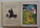 Delcampe - GRIMM - Contes Nathan 1937 Poucet Oie Blanche Neige Tambour - Contes