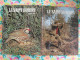 Lot De 12 Revues Le Saint Hubert De 1971. Mensuel. Chasse, Pêche. Année Complète. - Hunting & Fishing