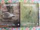 Lot De 11 Revues Le Saint Hubert De 1974. Mensuel. Chasse, Pêche. De Janvier à Novembre. - Hunting & Fishing