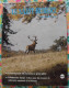 Delcampe - Lot De 11 Revues Le Saint Hubert De 1974. Mensuel. Chasse, Pêche. De Janvier à Novembre. - Hunting & Fishing