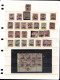 Lot # 880 British Guiana: Mostly 19th Century Accumulation On 24 Large Stock Pages, Over 700 Stamps - Colecciones (sin álbumes)