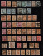 Delcampe - Lot # 880 British Guiana: Mostly 19th Century Accumulation On 24 Large Stock Pages, Over 700 Stamps - Collections (without Album)