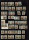 Delcampe - Lot # 880 British Guiana: Mostly 19th Century Accumulation On 24 Large Stock Pages, Over 700 Stamps - Collections (sans Albums)