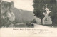 BELGIQUE - Vallée De La Meuse - Les Roches De Freyr Et Le Bateau Touriste -  Carte Postale Ancienne - Dinant