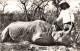 CAMEROUN - Rhinocéros Tué -  Carte Postale Ancienne - Camerún