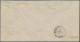 Bayern - Marken Und Briefe: 1881, 20 Pfg. Ultramarin, Wasserzeichen "senkrechte - Autres & Non Classés