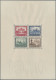 Deutsches Reich - Weimar: 1930, IPOSTA-Block In Originalgröße, In Postfrischer E - Unused Stamps