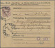 Deutsches Reich - Privatpost (Stadtpost): BERLIN: 1891, Packet-Fahrt, 50 Pfg. Vi - Privatpost