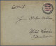 Deutsches Reich - Privatpost (Stadtpost): BRAUNSCHWEIG/Hammonia, 1890, 10 Pf. Ro - Postes Privées & Locales